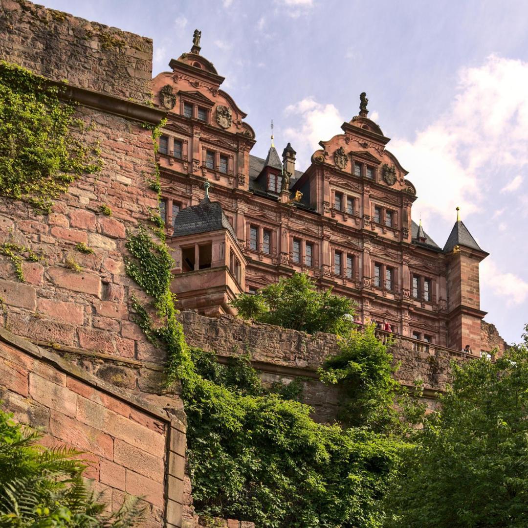 Odenwaldferien Zur Sattelkammer Schonbrunn  Exterior foto